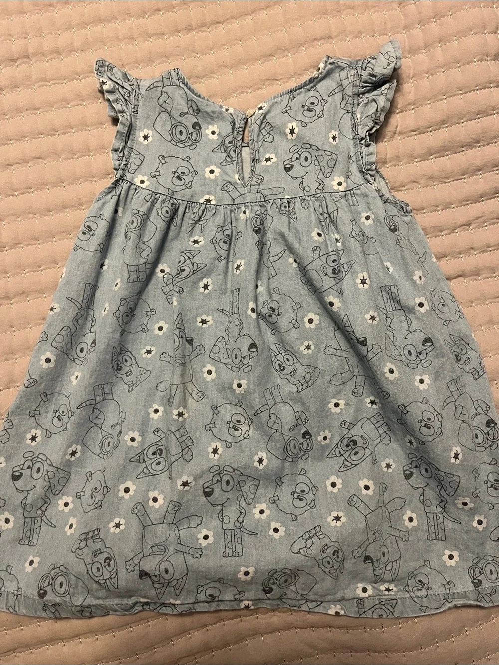Light Blue Printed Girls' Denim-Style Bluey Dress with Ruffle Sleeves